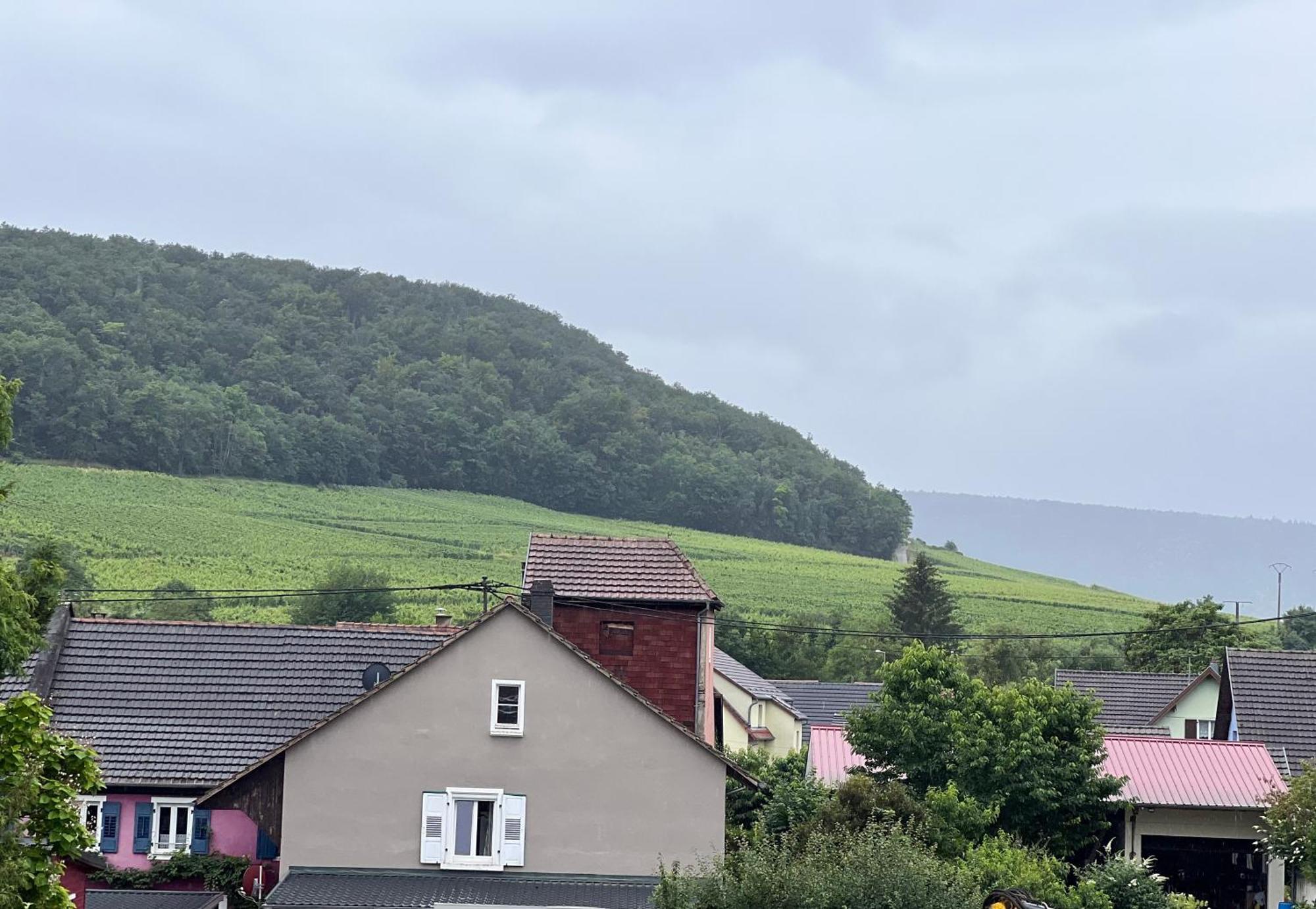 Gites Du Bel Alsace Cote Vignoble Westhalten Exterior foto